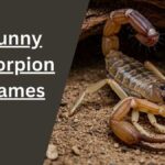 Scorpion Names