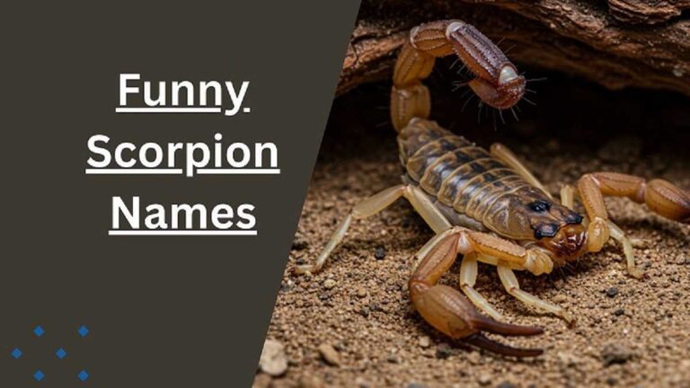 Scorpion Names