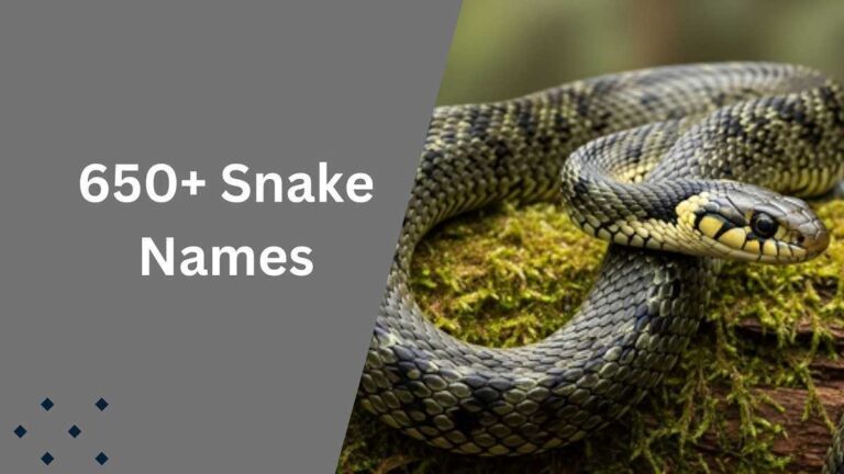 Snake Names