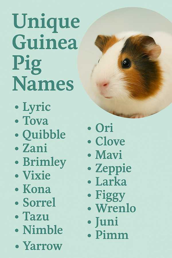 Unique Guinea Pig Names