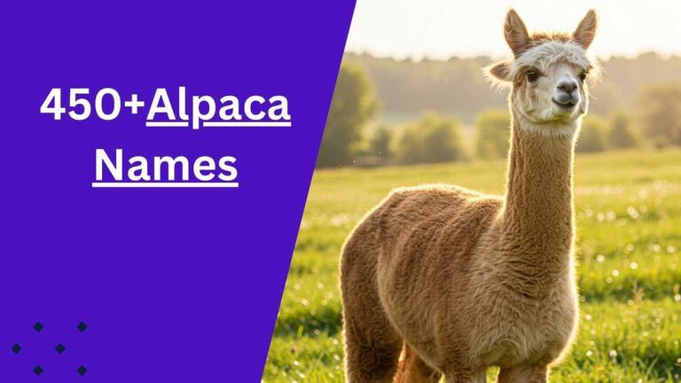 Alpaca Names