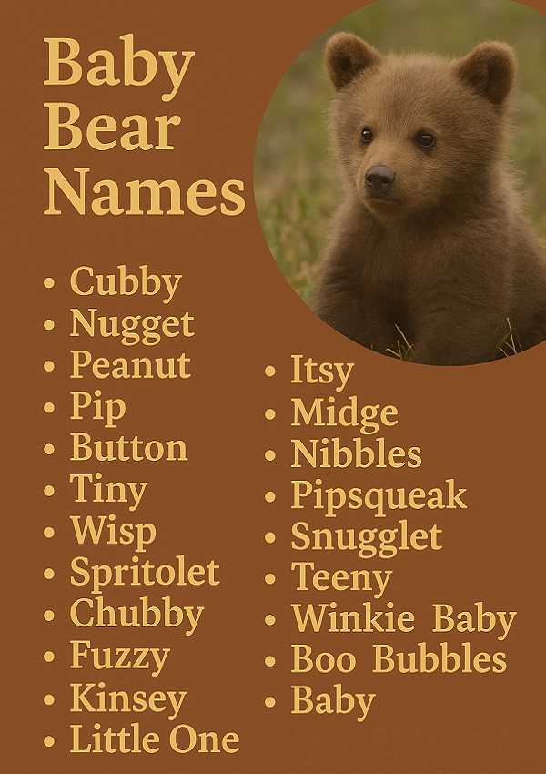 Baby Bear Names