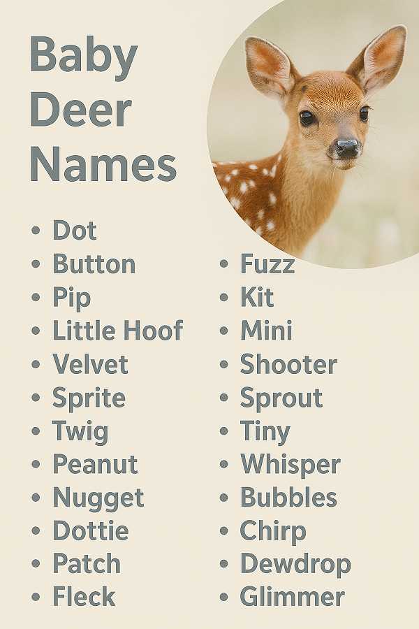 Baby Deer Names