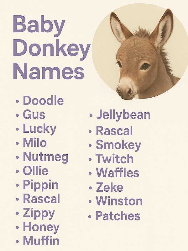 Baby Donkey Names