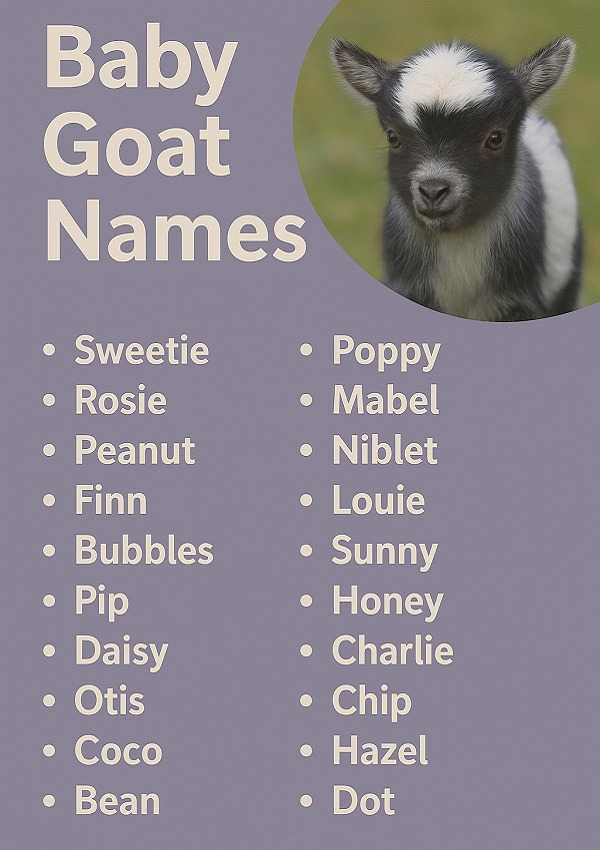 Baby Goat Names