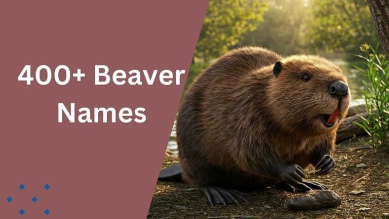 Beaver Names