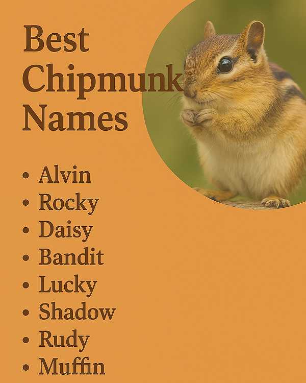 Best Chipmunk Names