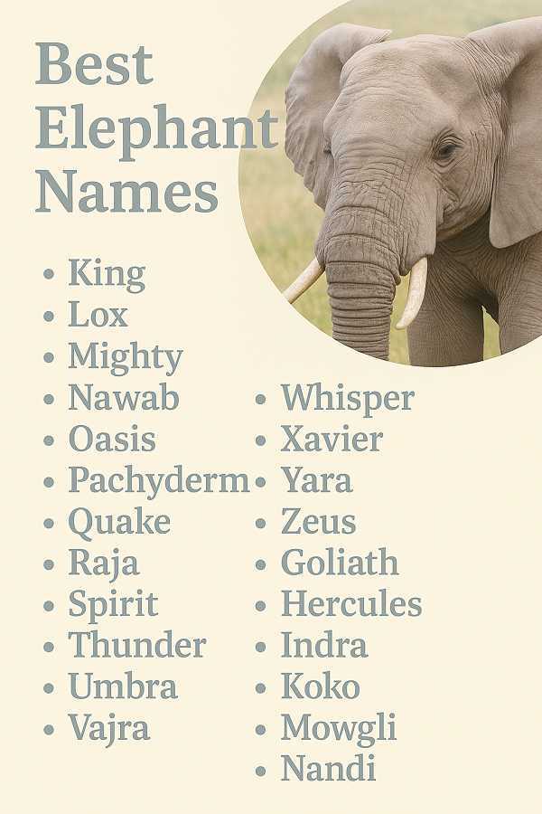 Best Elephant Names