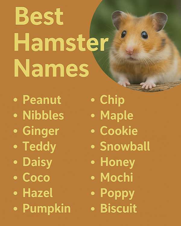 Best Hamster Names