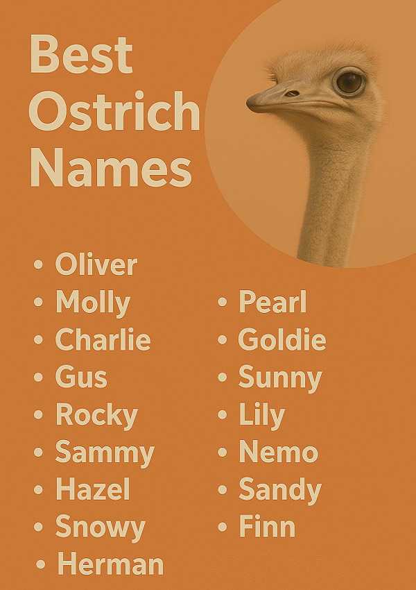 Best Ostrich Names