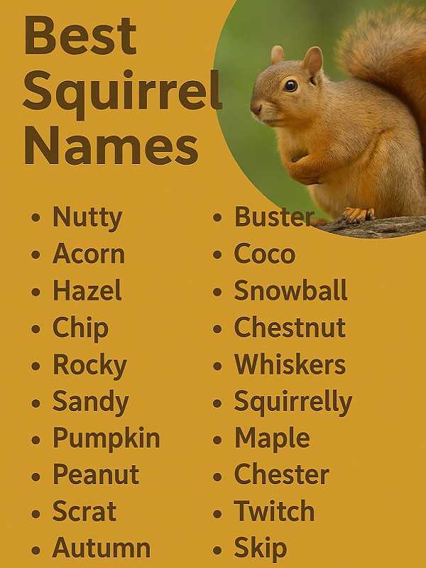Best Squirrel Names