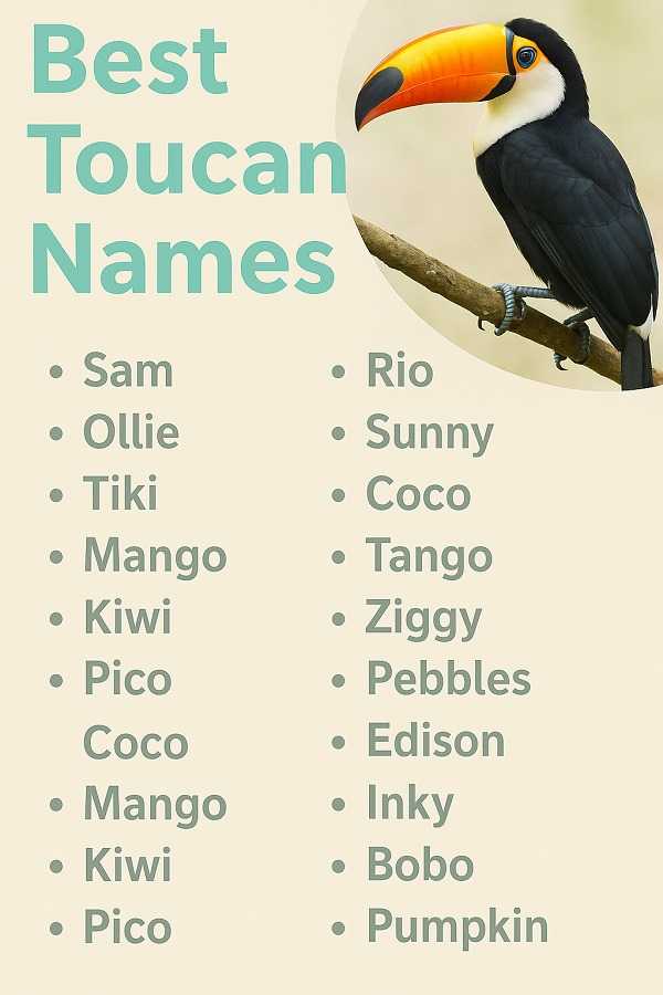 Best Toucan Names