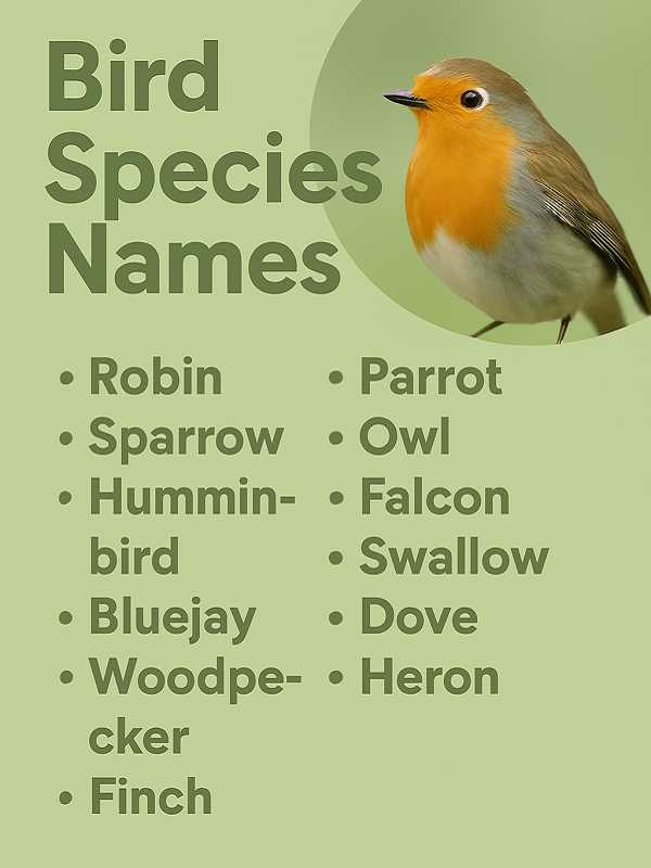 Bird Species Names