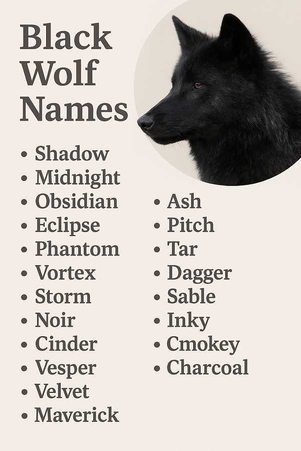 Black Wolf Names