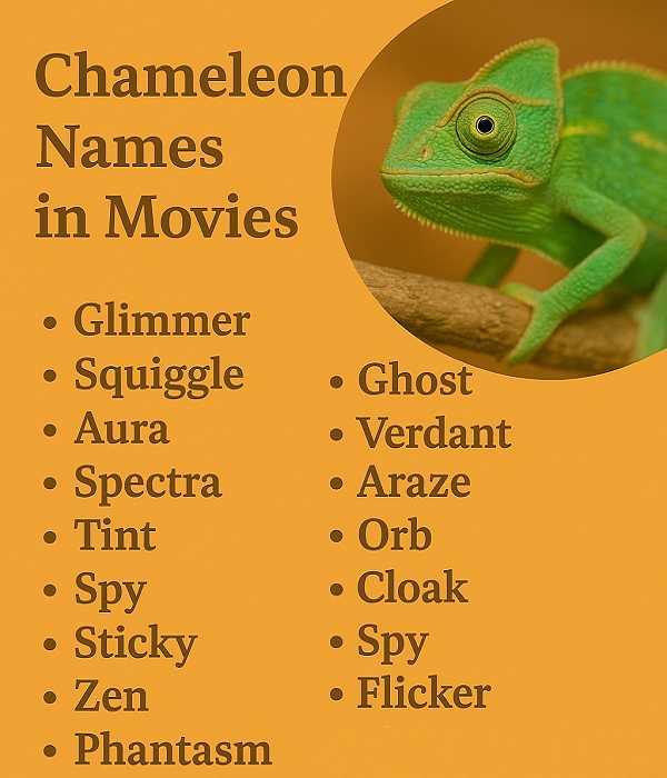 Chameleon Names in Movies