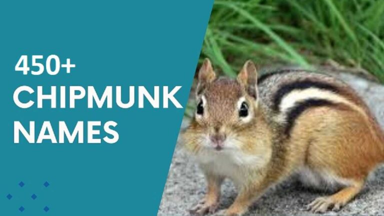 Chipmunk Names