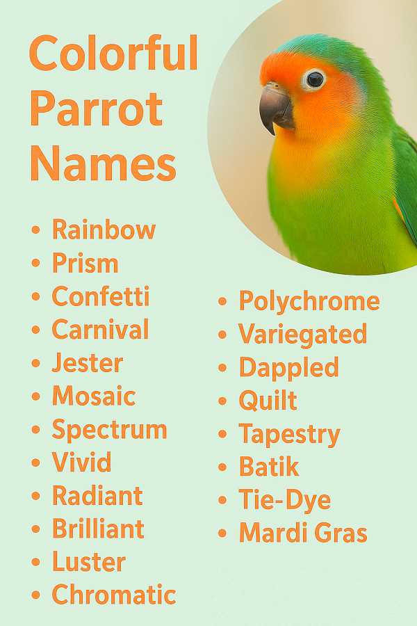 Colorful Parrot Names