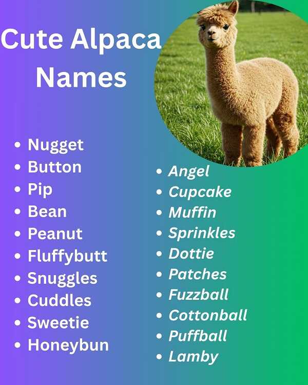 Cute Alpaca Names
