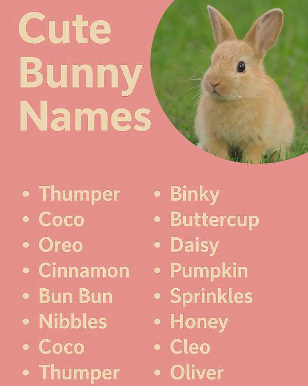 Cute Bunny Names