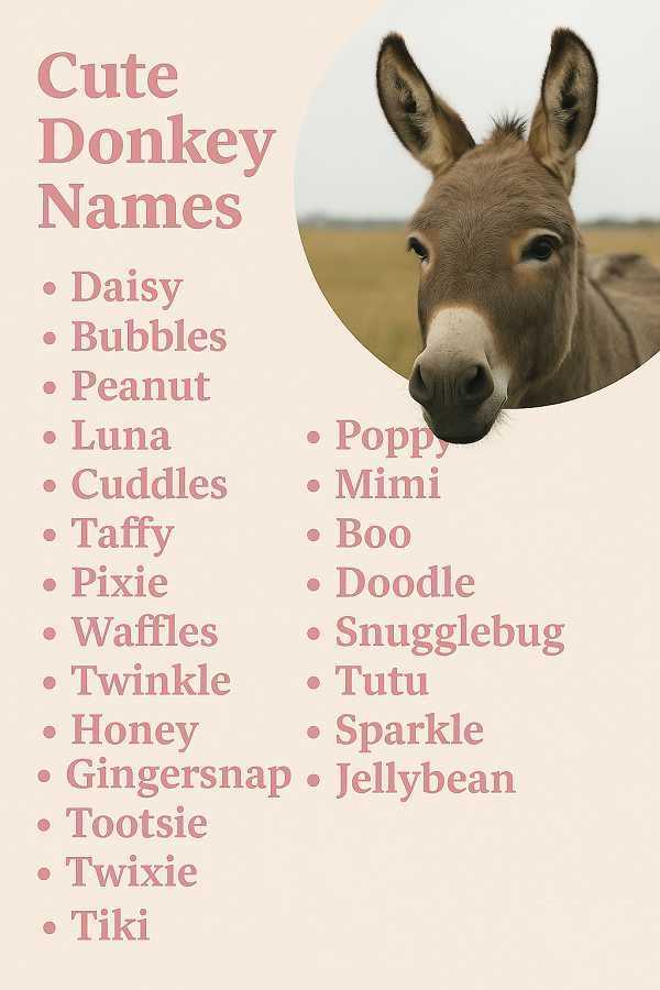 Cute Donkey Names