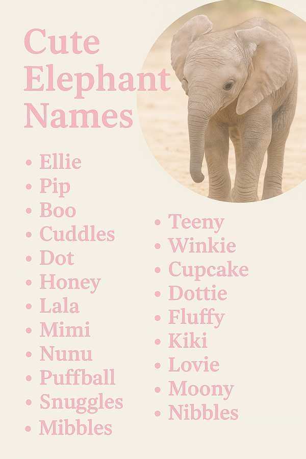 Cute Elephant Names
