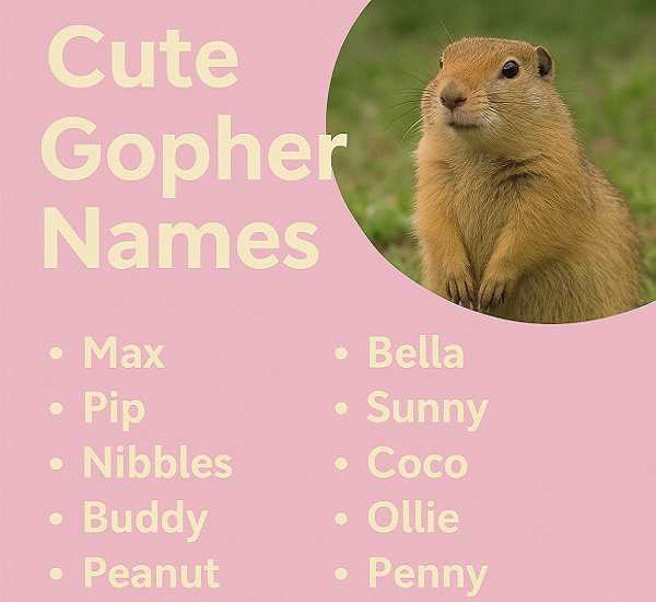 Cute Gopher Names