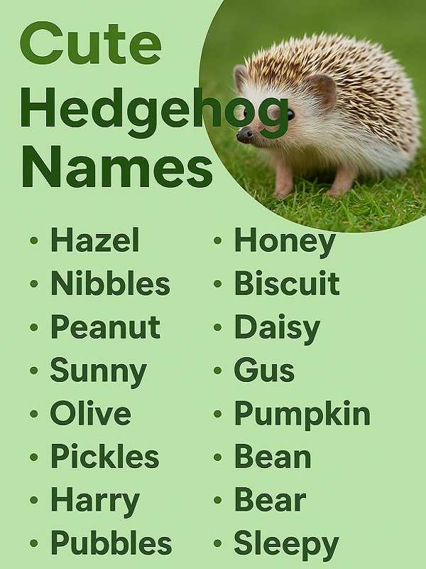 Cute Hedgehog Names