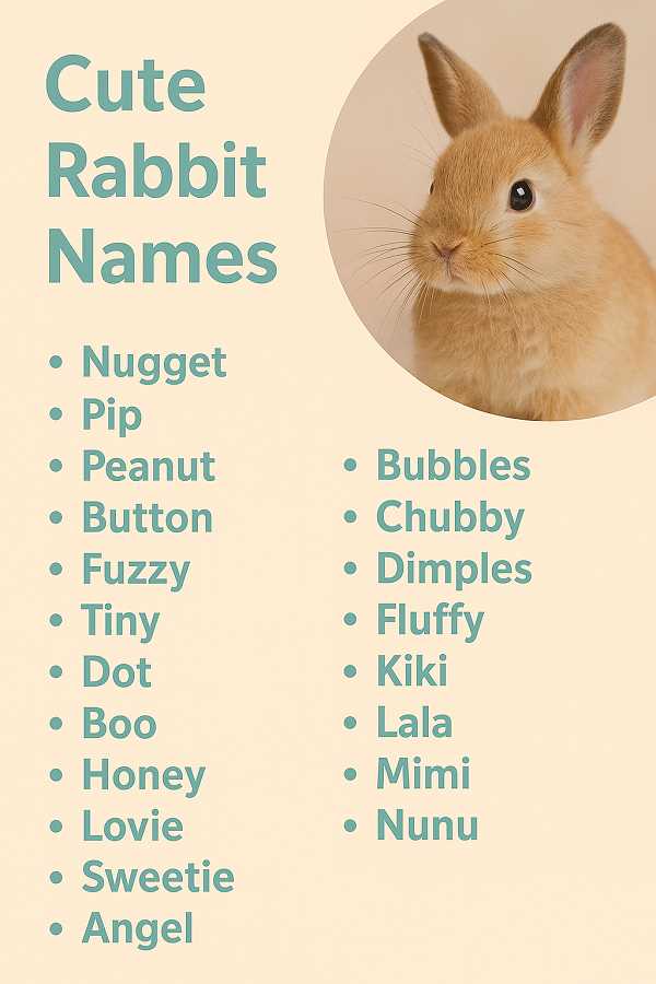 Cute Rabbit Names