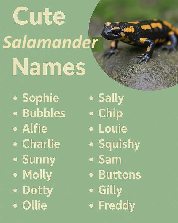 Cute Salamander Names