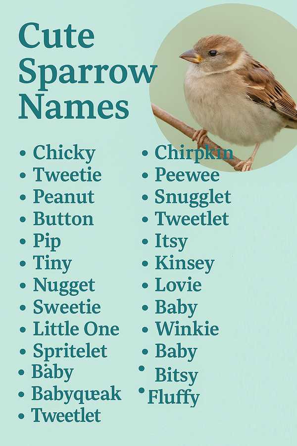 Cute Sparrow Names