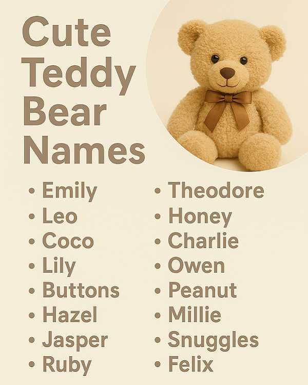 Cute Teddy Bear Names