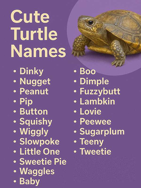 Cute Turtle Names
