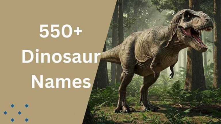Dinosaur Names