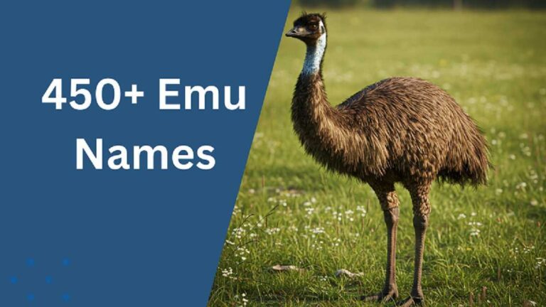 Emu Names