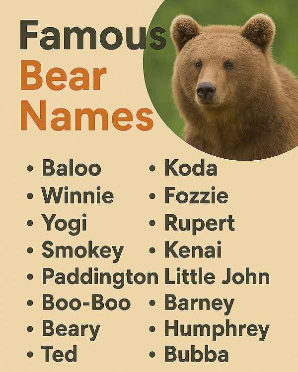 Famous Bear Names