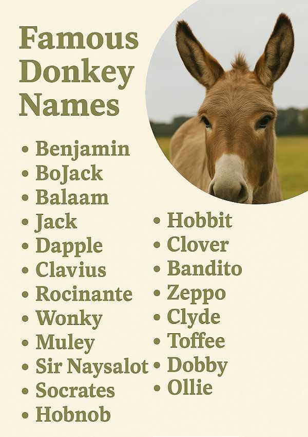 Famous Donkey Names