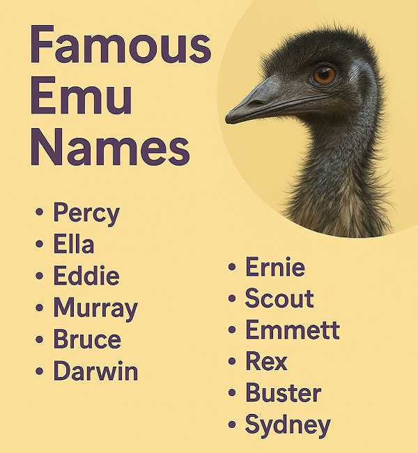 Famous Emu Names