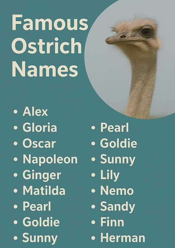 Famous Ostrich Names