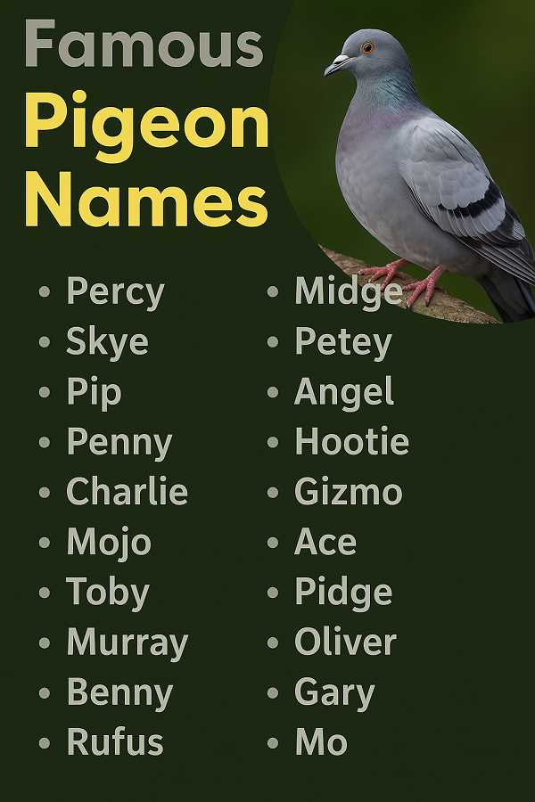 Famous Pigeon Names