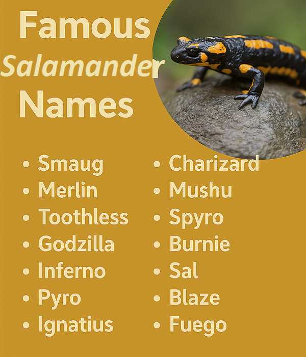 Famous Salamander Names