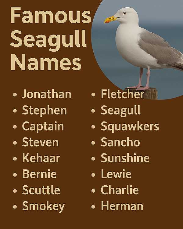 Famous Seagull Names