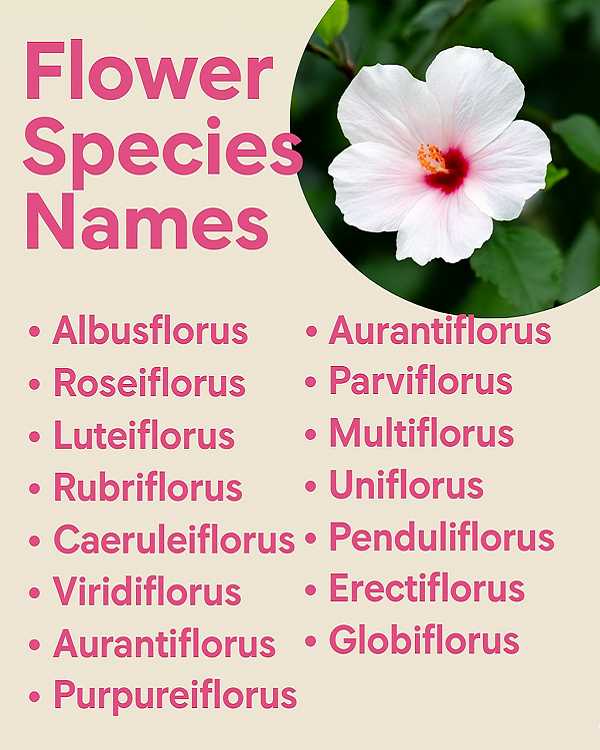 Flower Species Names