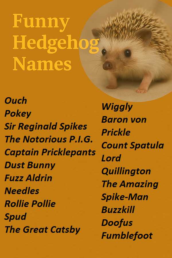 Funny Hedgehog Names