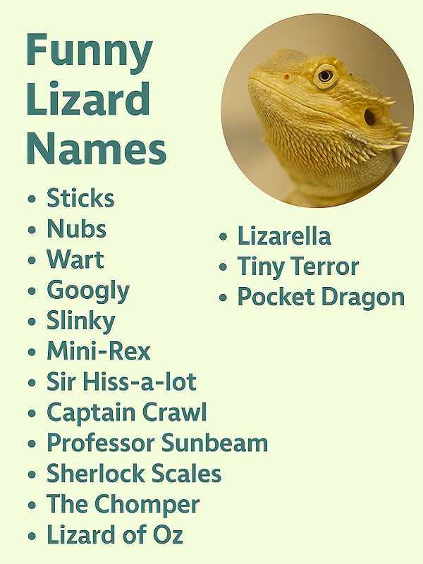 Funny Lizard Names