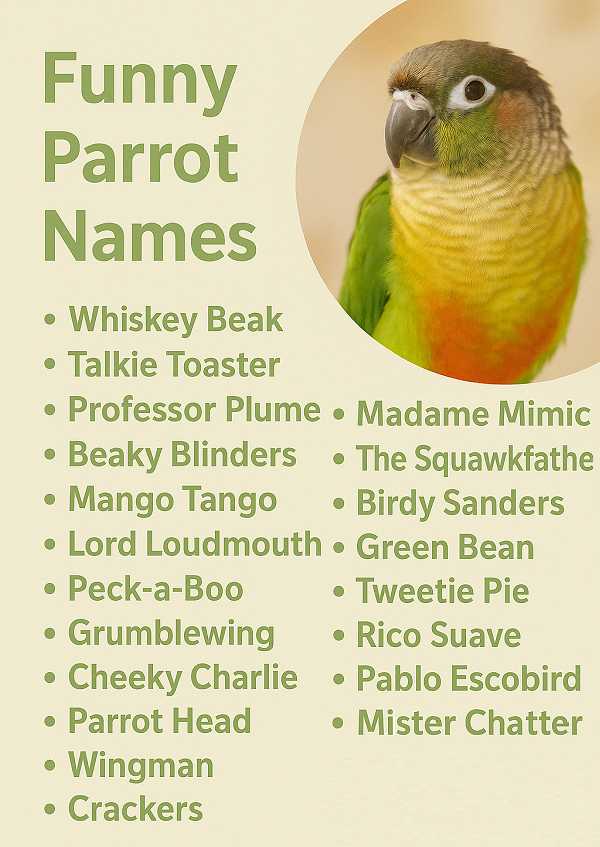 Funny Parrot Names