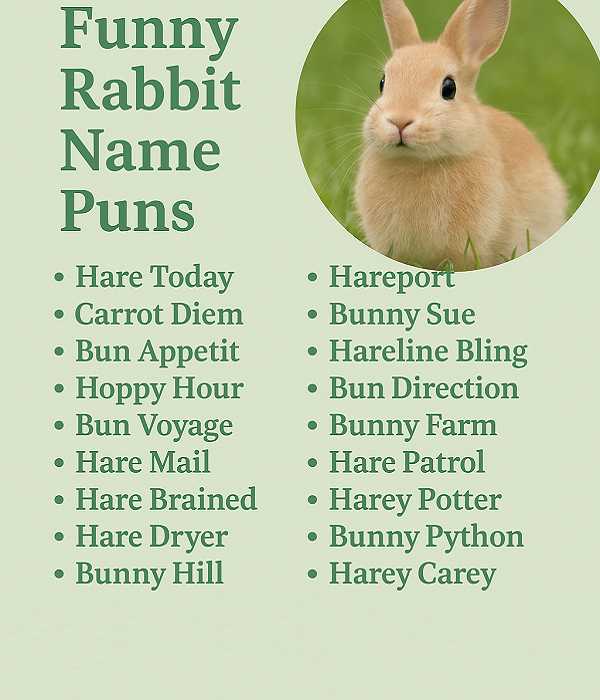 Funny Rabbit Names Puns