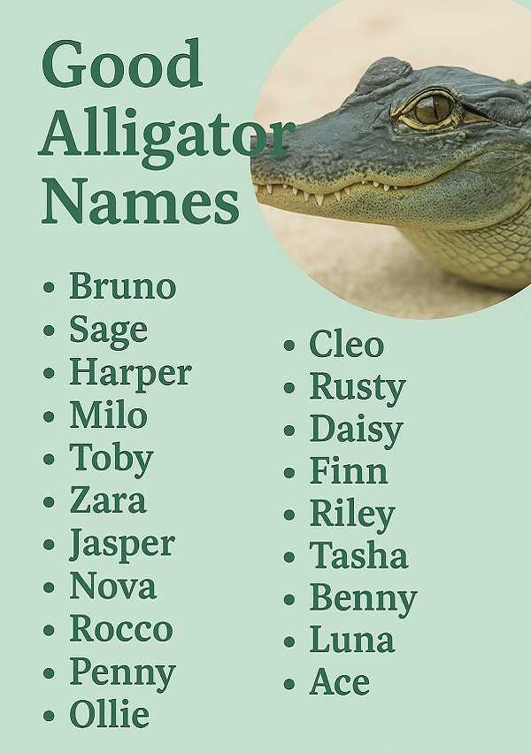 Good Alligator Names