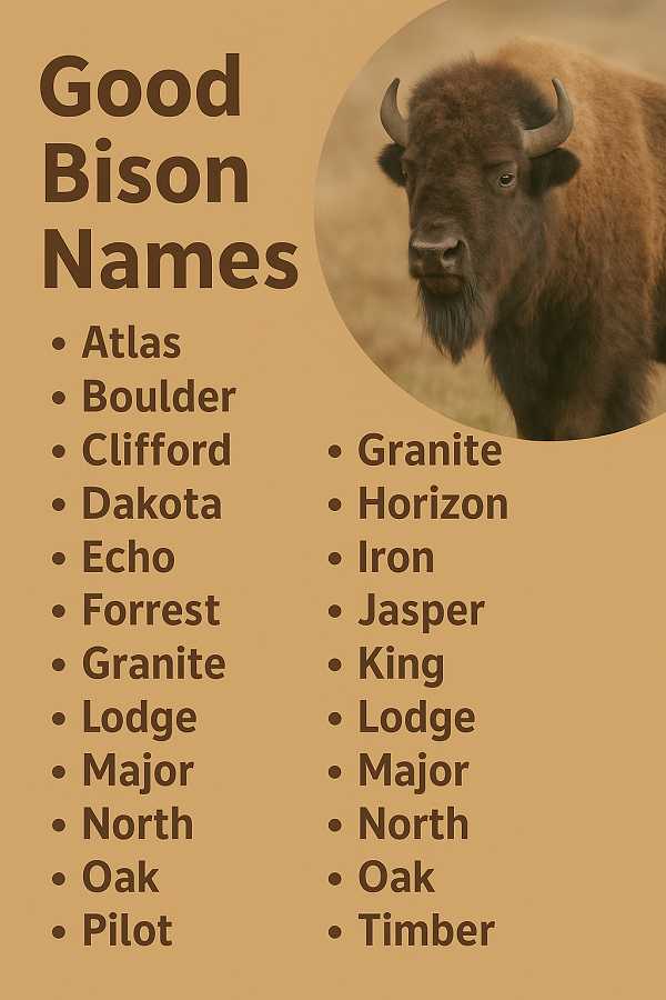 Good Bison Names