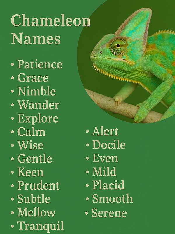 Good Chameleon Names