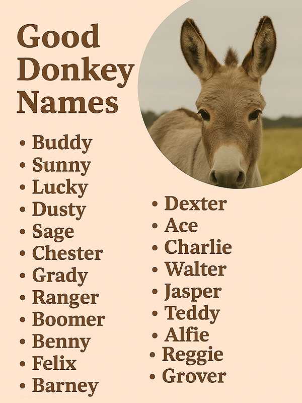 Good Donkey Names